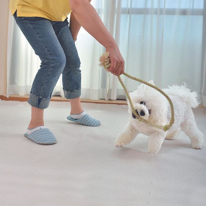 遊びを増やす!