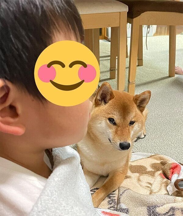 息子さんとむぎまるくん