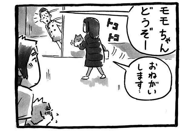 シーズー犬マンガてんぽshihtzu