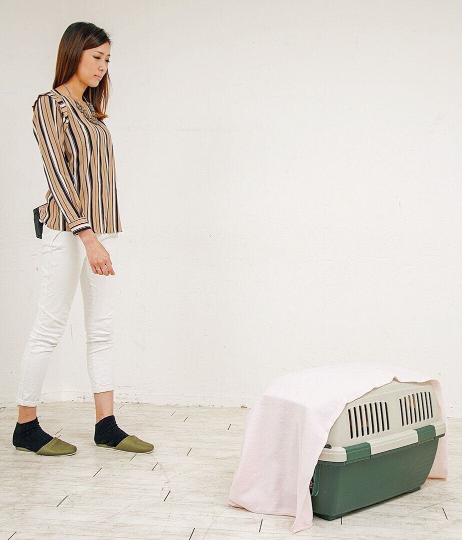 飼い主さんがそばにいなくてもOKな状態を保ちましょう