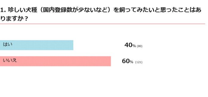 珍しい犬種を飼ってみたい?
