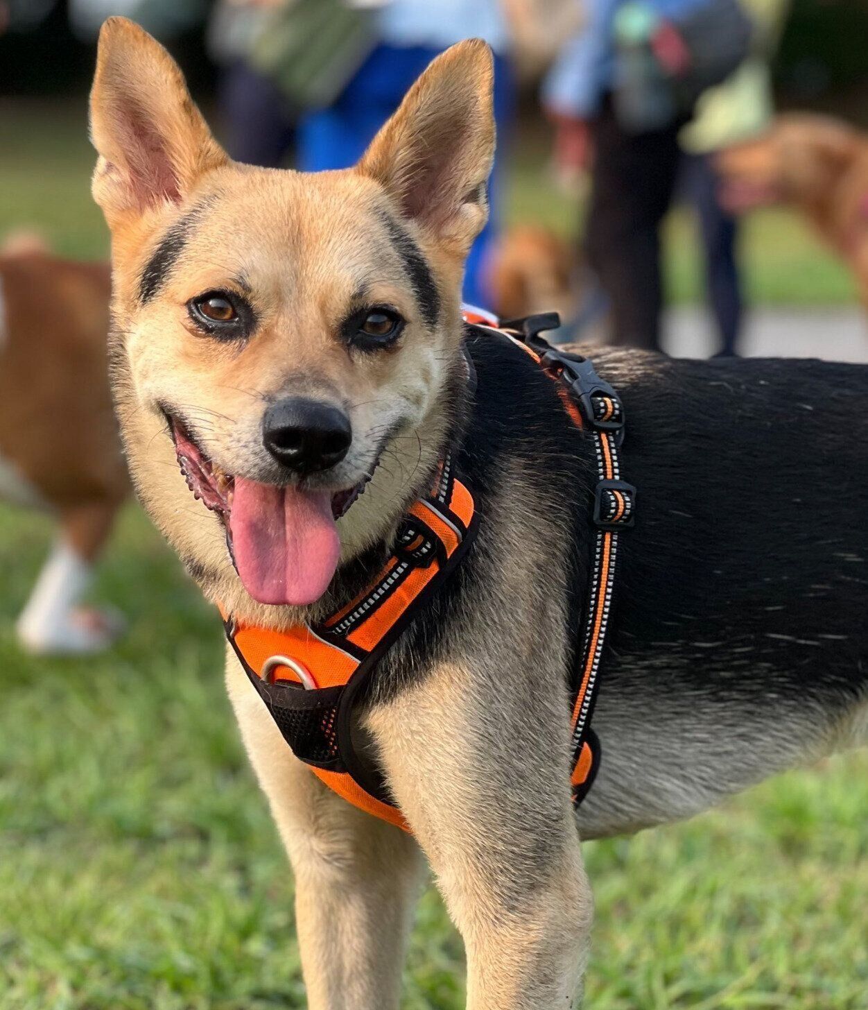 笑顔が可愛いこのちゃん。