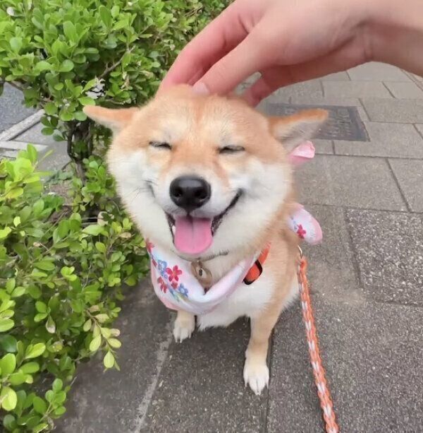 笑顔が可愛い春ちゃん