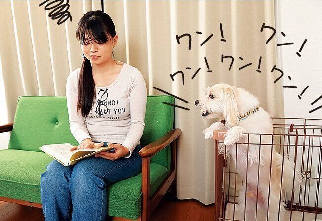 撮影／尾﨑たまき