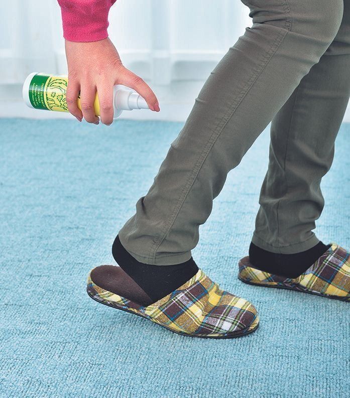 撮影／佐藤正之