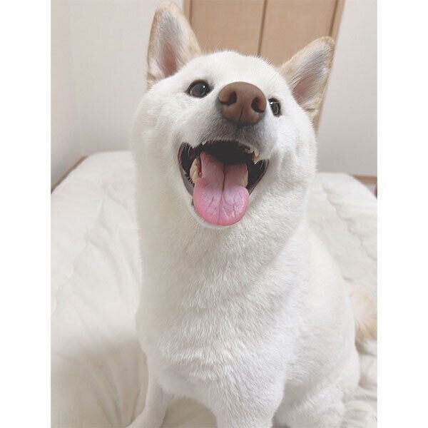 笑顔のもち吉くん