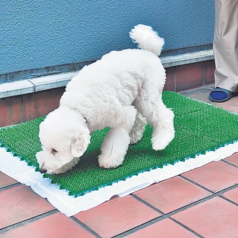 １．人工芝の下にトイレシーツを敷く
