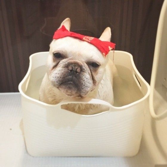 お風呂でポカポカ画像