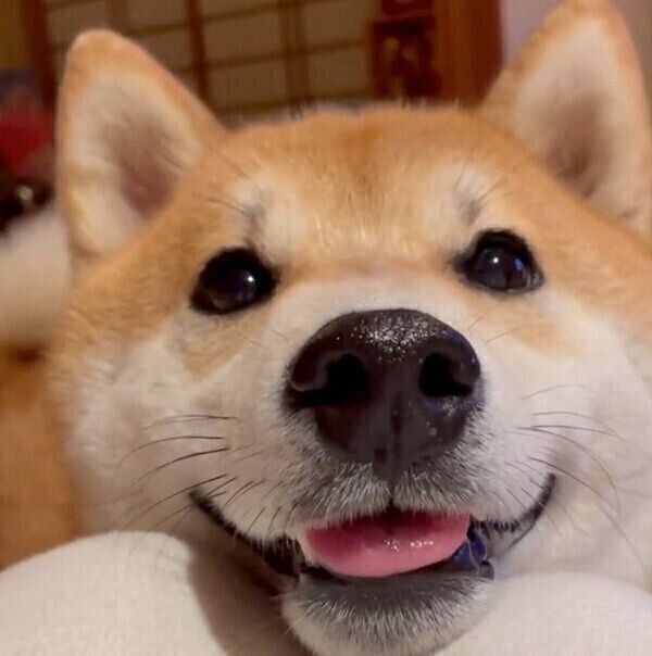 笑顔の栗太郎くん