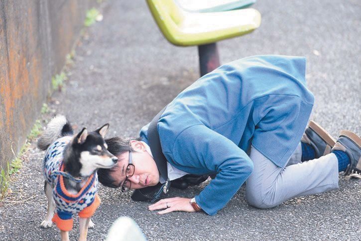 (C)2019「柴公園」製作委員会