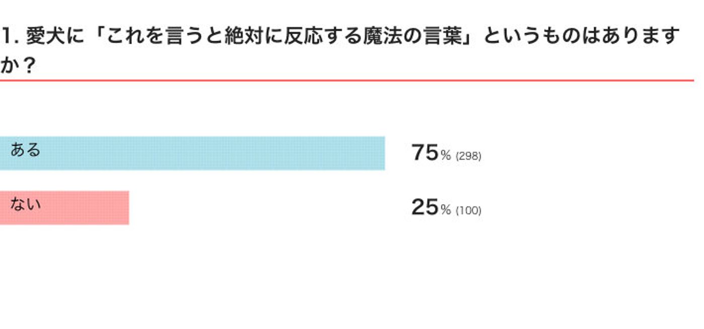 愛犬が絶対に反応する 魔法の言葉 言葉がわかりすぎることで爆笑の出来事も いぬのきもちweb Magazine 愛犬が絶対に反応する 魔法の言葉 言葉がわかりすぎることで爆笑の出来事も いぬのきもちweb Magazine