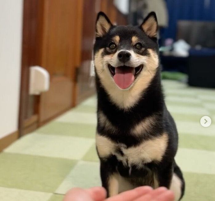 笑顔が可愛いおはぎちゃん