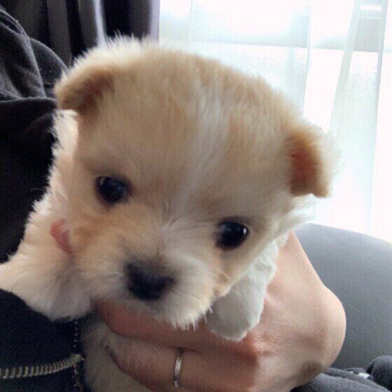 まだまだ幼いクゥちゃん