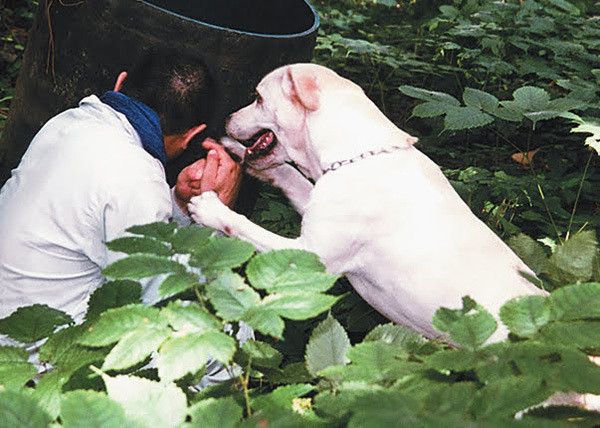 写真提供：全国災害救助犬協会