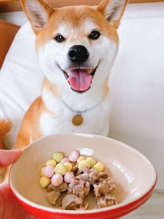 記念日を祝ってもらっている豆くん