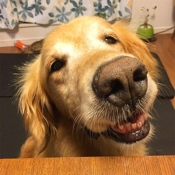 見つめるマイトくん