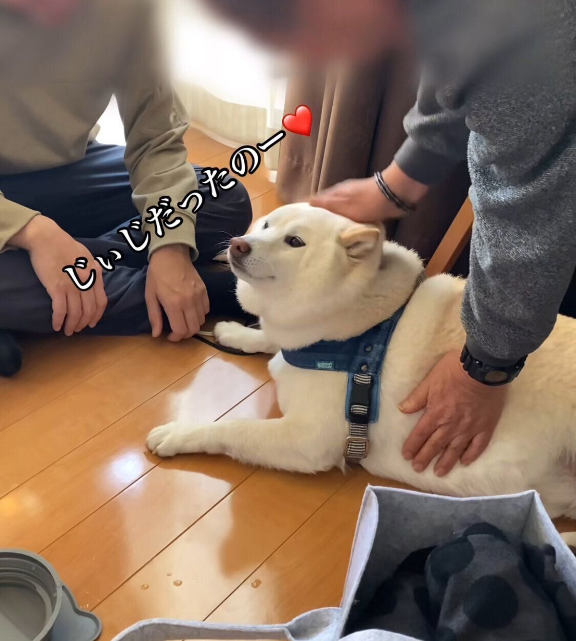 勘違いに気づくごん太くん