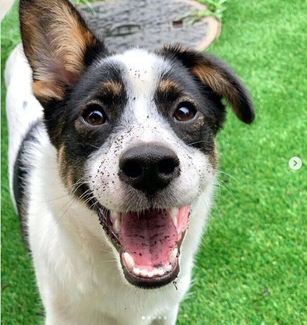 笑顔の助六くん