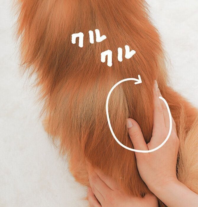 腎兪と命門のマッサージ