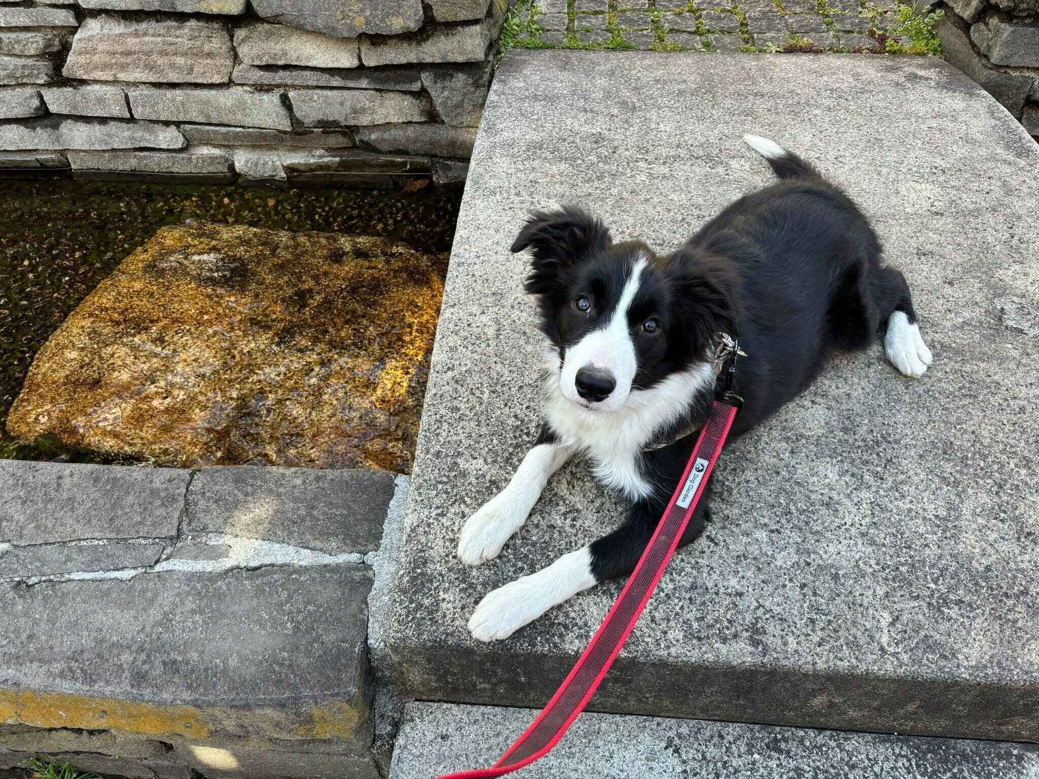 見つめるあいちゃん