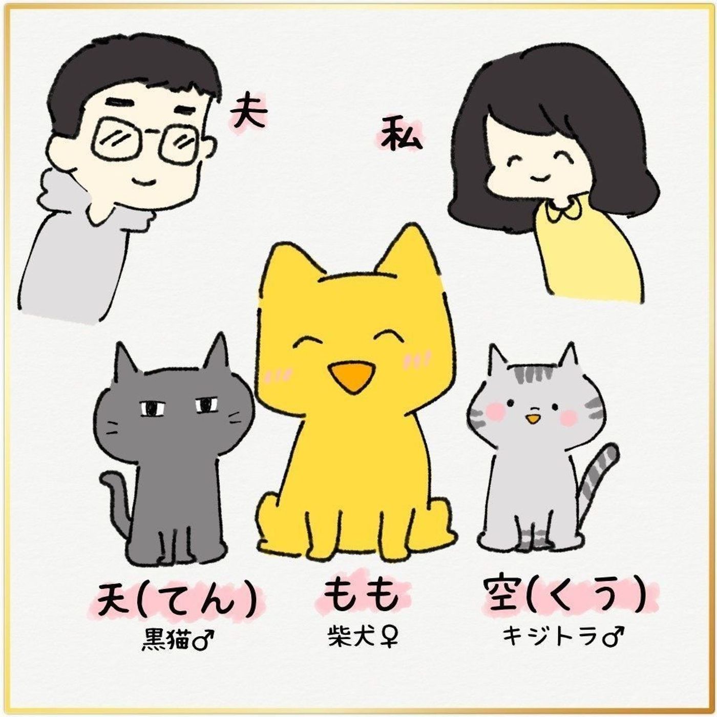 新連載 柴犬ももと猫たち Vol 1 柴犬ももがやってきた いぬのきもちweb Magazine 新連載 柴犬ももと猫たち Vol 1 柴犬ももがやってきた いぬのきもちweb Magazine