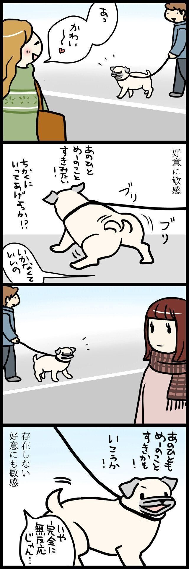 【連載】パグ犬めー