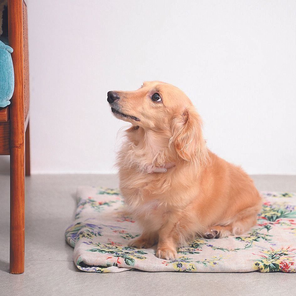 撮影／尾﨑たまき