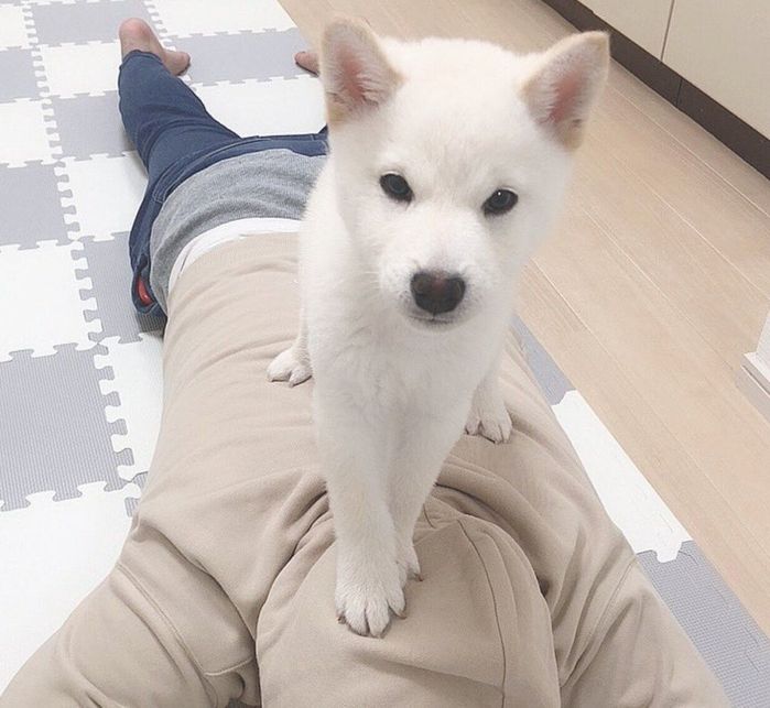 弟さんの背中に乗るもち吉くん