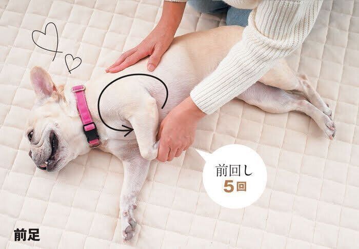前回し