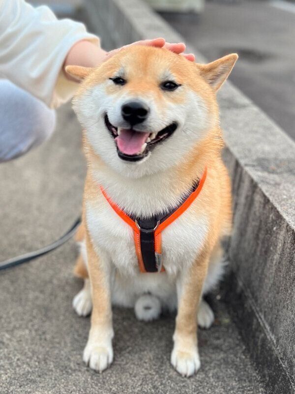 笑顔が可愛いふう太くん