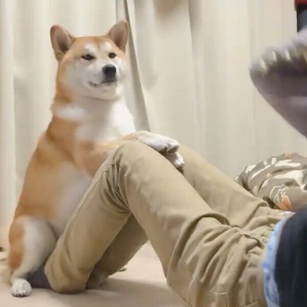 腹筋をサポートするめんまくん