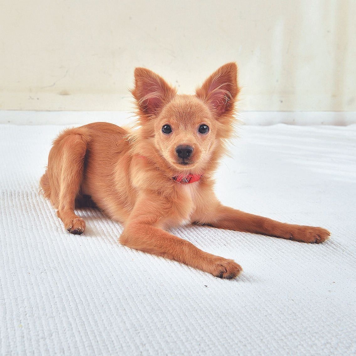 撮影／佐藤正之