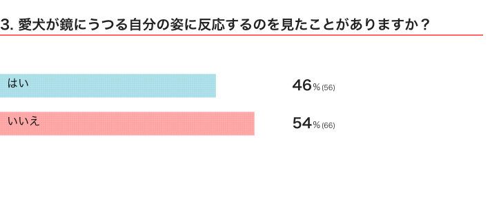 いぬのきもちWEB MAGAZINE『犬の行動に関するアンケートvol.21』