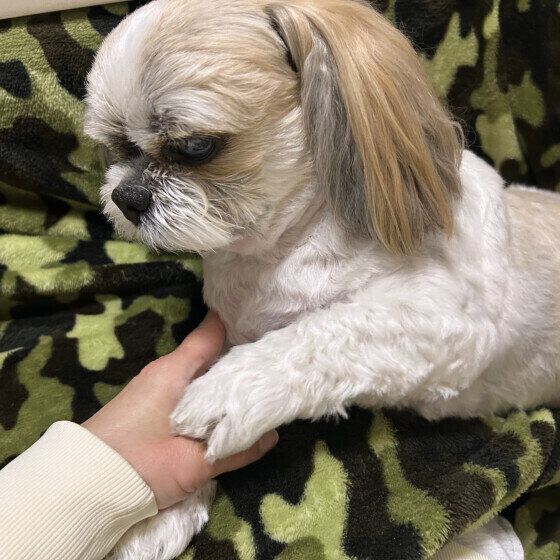 もっとナデナデして♪