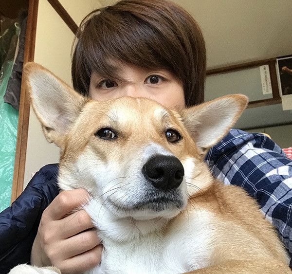 飼い主さんと犬