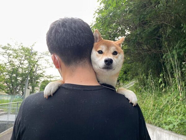 抱っこで散歩をするいそべくん