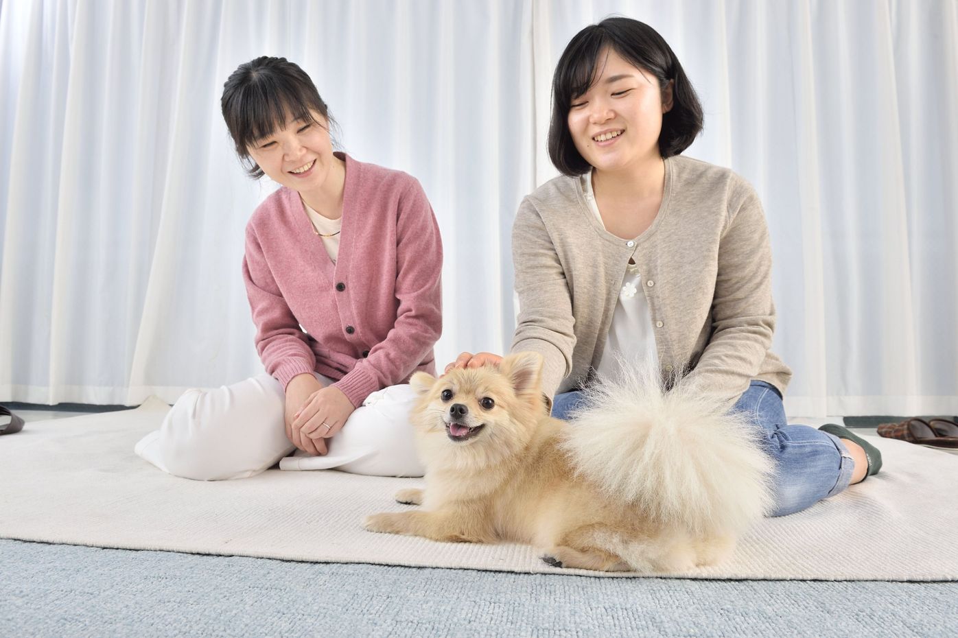 言えばわかる は勘違い 噛みを招きかねない 飼い主さんのng行動5選 いぬのきもちweb Magazine 言えばわかる は勘違い 噛みを招きかねない 飼い主さんのng行動5選 いぬのきもちweb Magazine