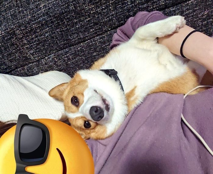 まったりするうなぎちゃん