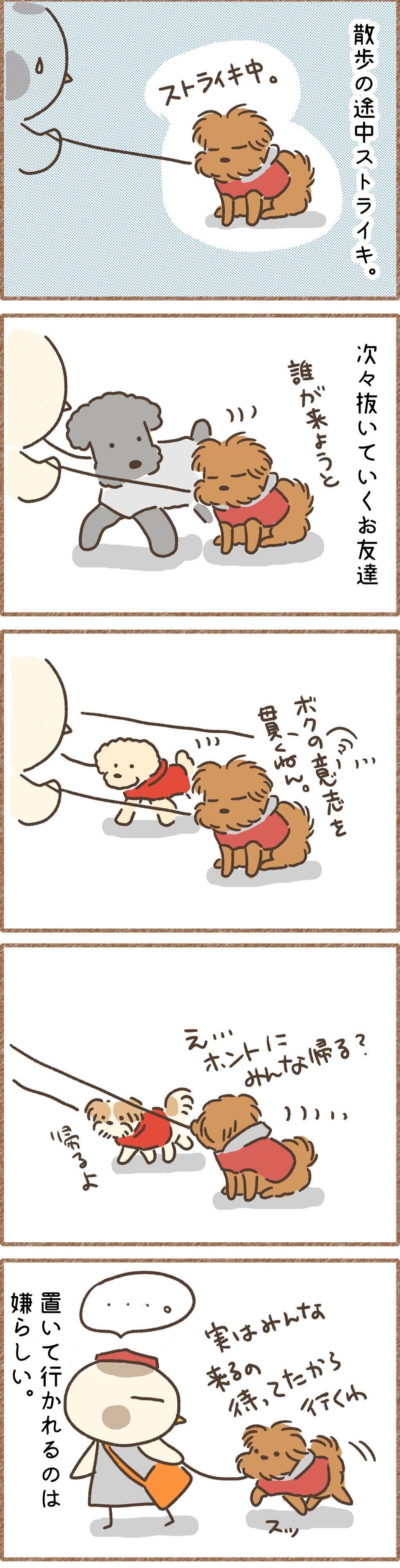 連載「こぐま犬てんすけ」