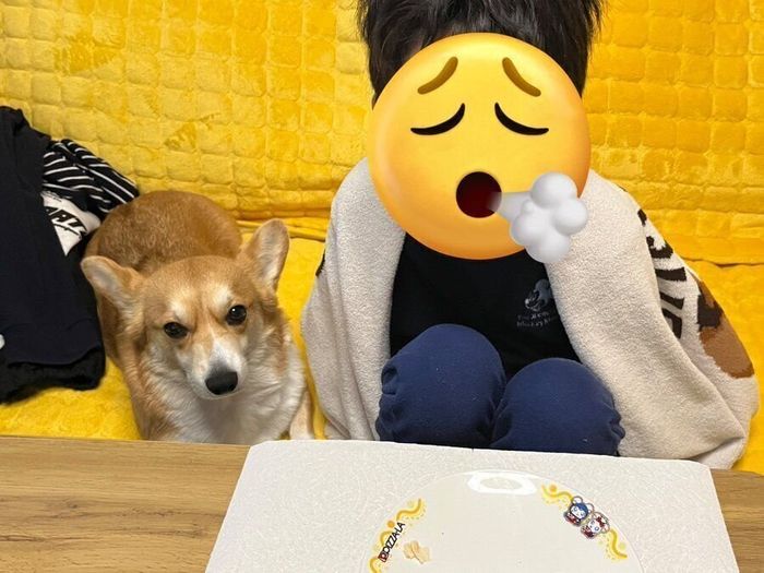 息子さんとひーちゃん
