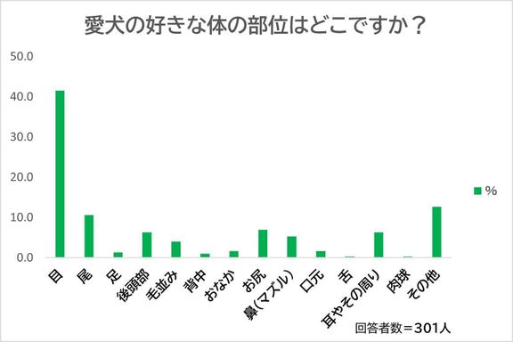 Q.柴の好きな体の部位は?
