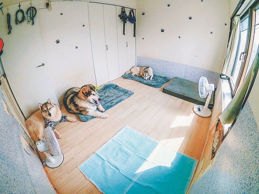 いつもの居場所