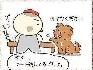 連載「こぐま犬てんすけ」vol.81