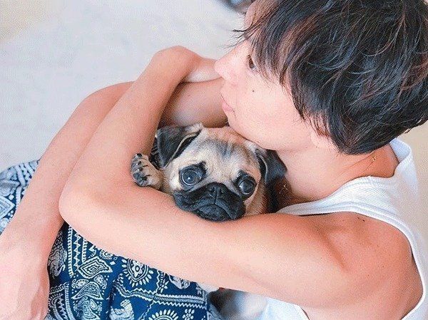 パパさんとぱぐぞうくん