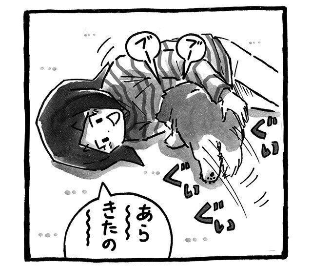 シーズー犬マンガてんぽshihtzu