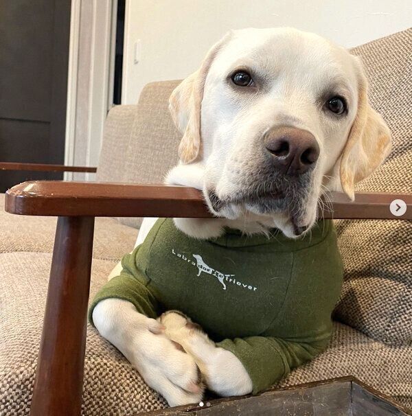 くつろぐイソくん