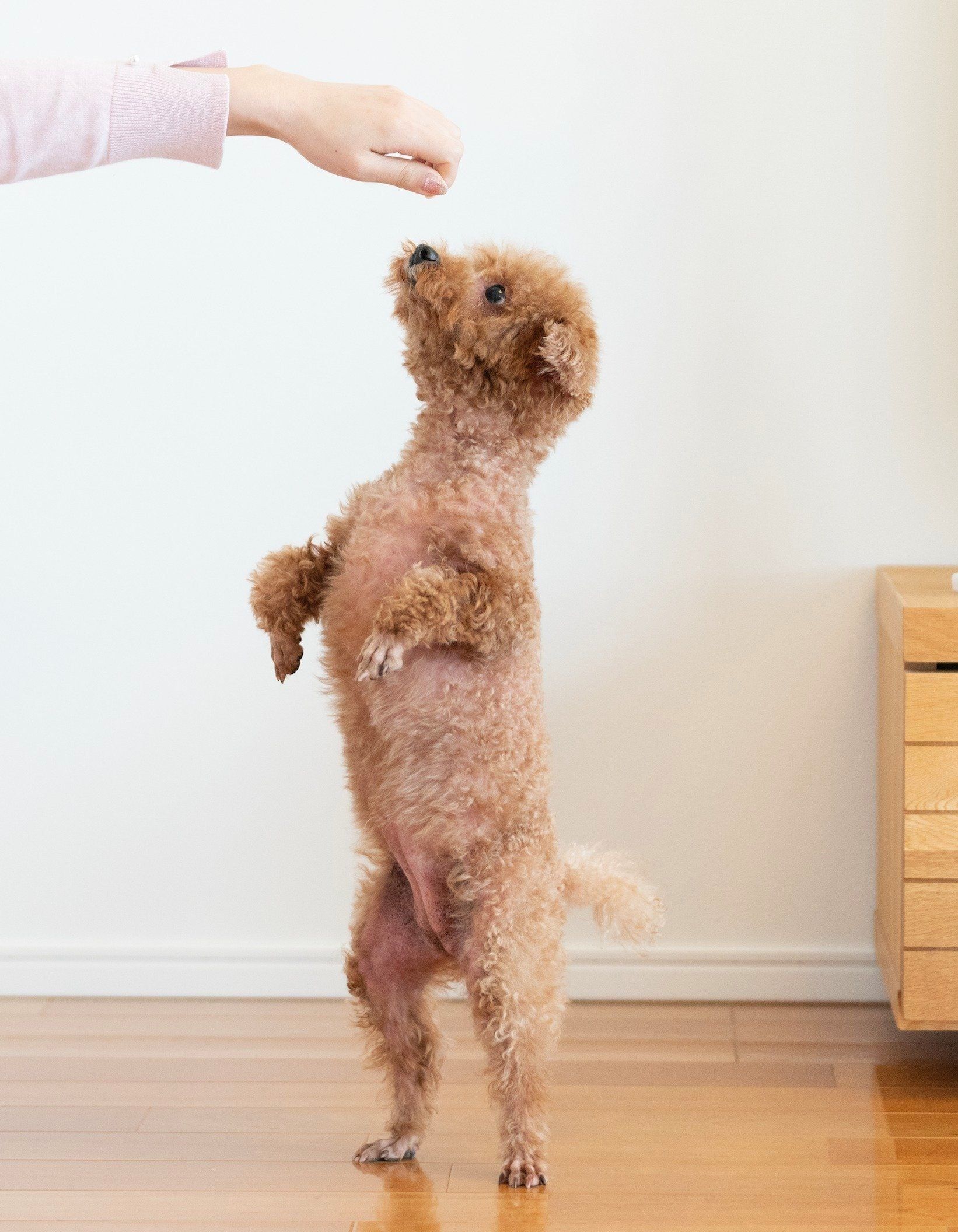 踏ん張らずに、スッと立ち上がれました♪