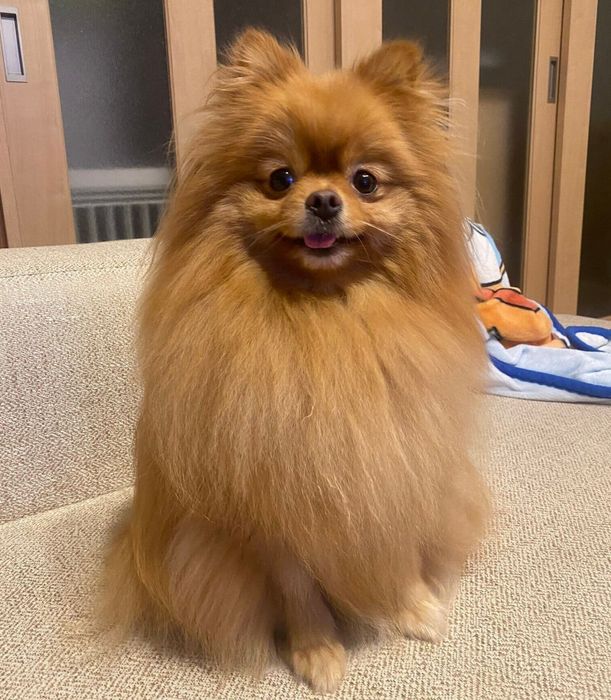 成長したふちちゃん