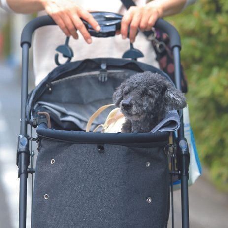 アイちゃんの状態がよい日に、少し遠出をするときにはカートも利用。中にはクッションを敷いて通院時にも活用