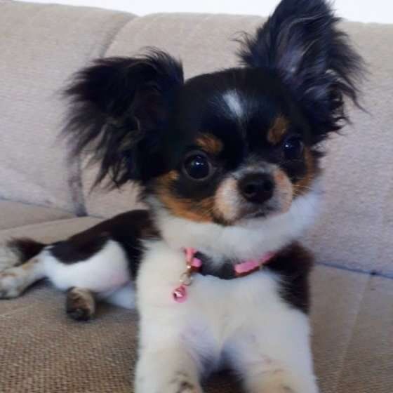 可愛いまんまるのお目目